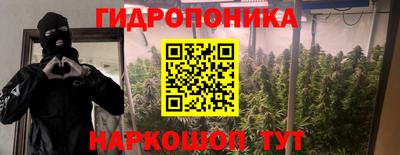 прущие грибы Севастополь