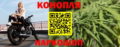 прущие грибы Севастополь