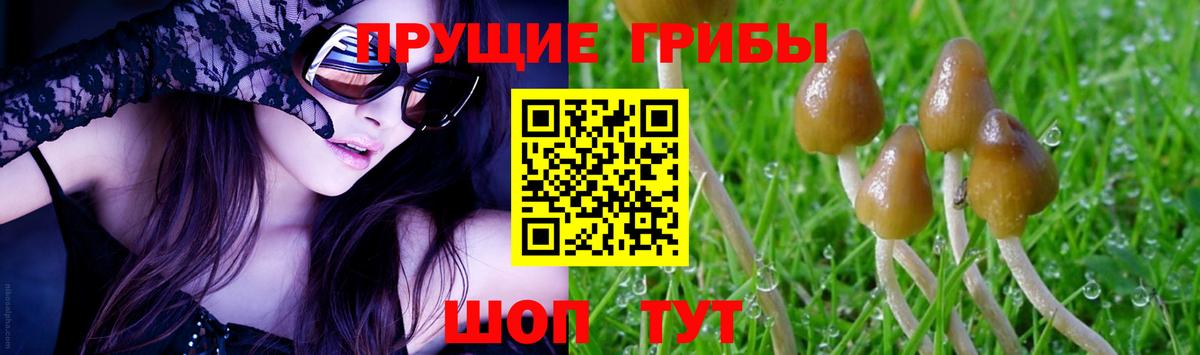 как найти закладки  Галлюциногенные грибы мицелий  Вход с VPN  Сарапул 